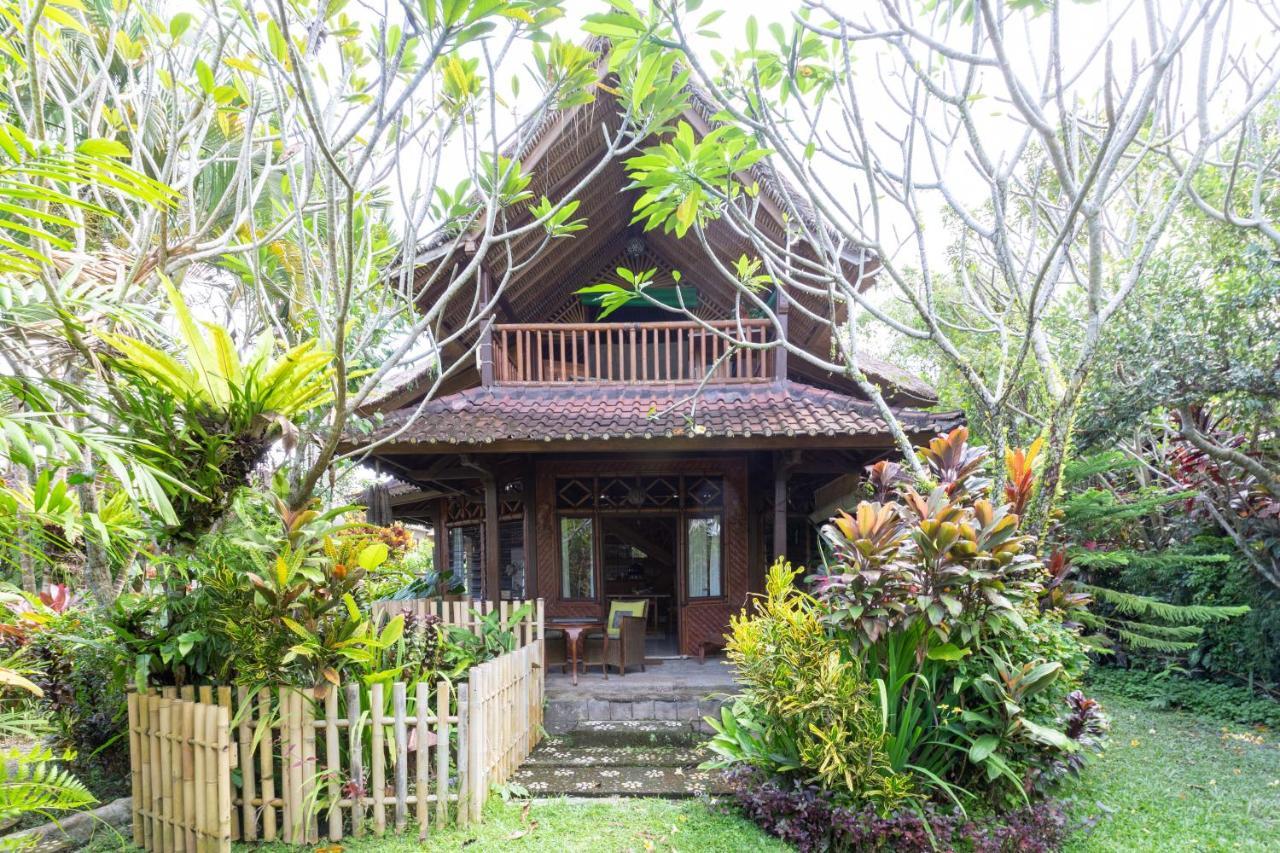 Bali Firefly Bnb Убуд Экстерьер фото