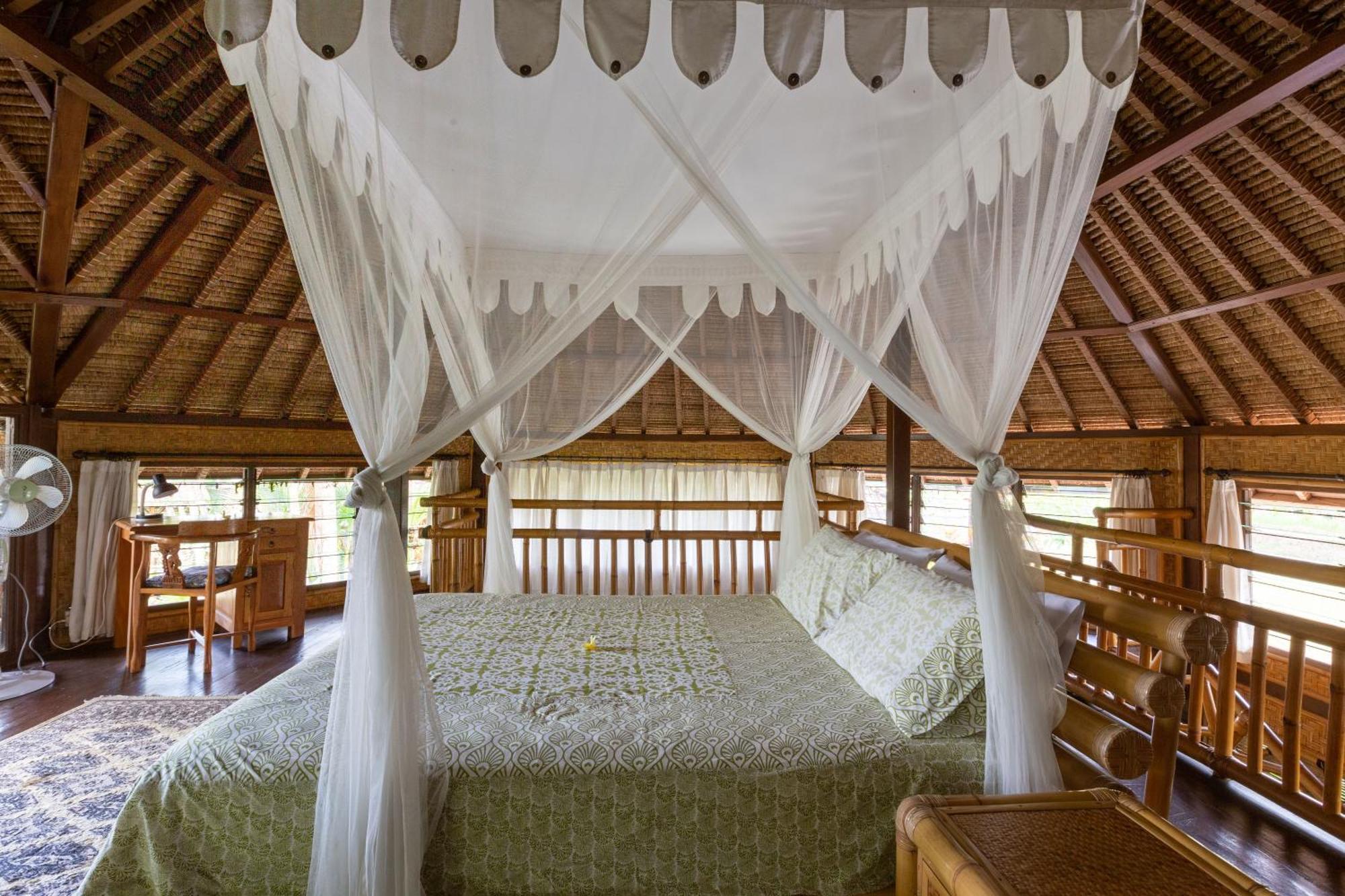 Bali Firefly Bnb Убуд Номер фото