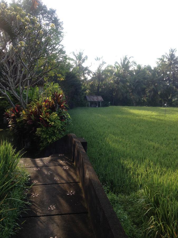 Bali Firefly Bnb Убуд Экстерьер фото