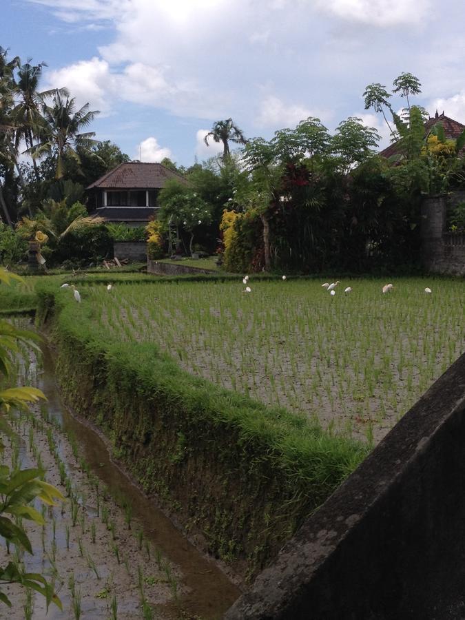 Bali Firefly Bnb Убуд Экстерьер фото